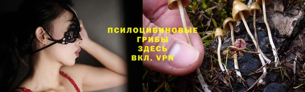 прущие грибы Алексин