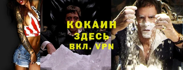 прущие грибы Алексин