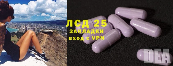 прущие грибы Алексин