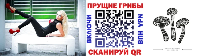дарк нет как зайти  кракен зеркало  Аргун  Галлюциногенные грибы MAGIC MUSHROOMS 